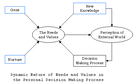 Dynamic Nature of Decision-Making Process