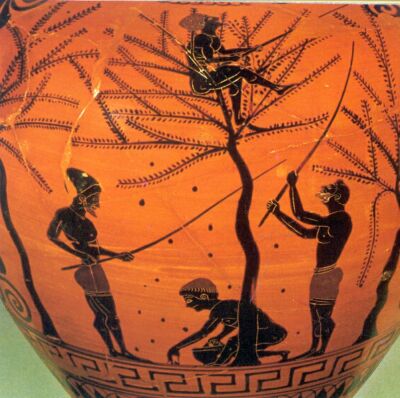Harvesting olives, Greek vase
