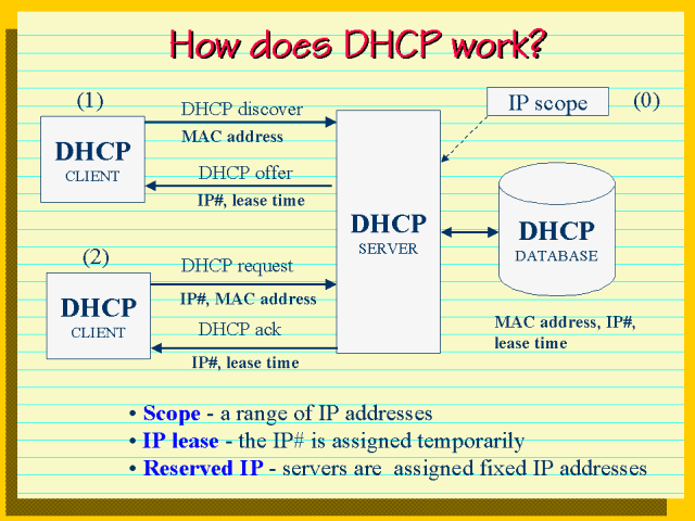 How Does Dhcp Work