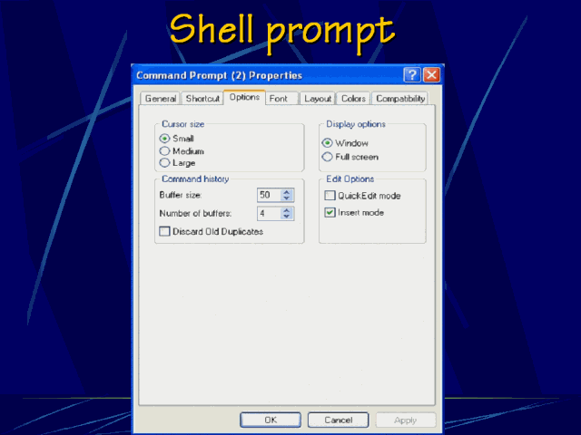 shell-prompt