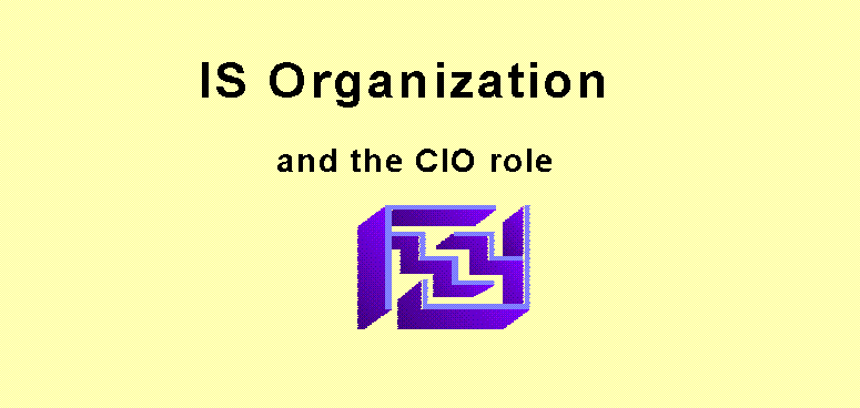 IS Organization and CIO role