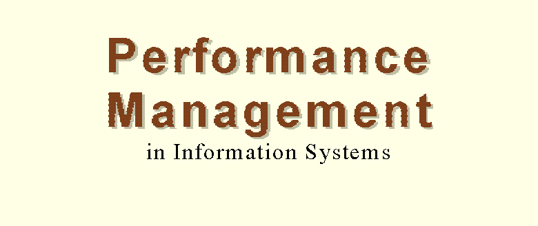Performance Measurement in IS