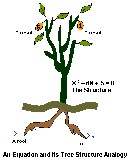 Roots, solutions, and structure of an equation