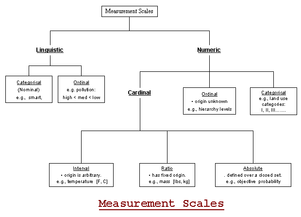 Thesis measurements