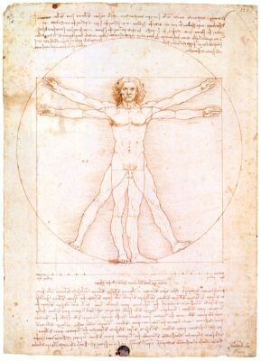 Vitruvian man from notebooks of Leonardo da Vinci, c 1490, 