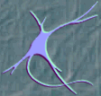 A Snapshot of a Synapse