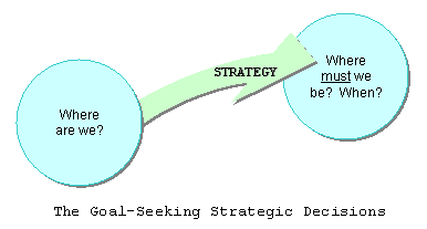 Components of Goal Seeking Decisions