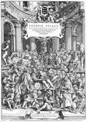 Vesalius, De Humani Corporis Fabrica, plate 2, 1543