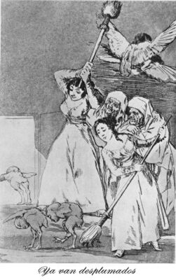 Goya, They are going off, plucked, Capricho 19